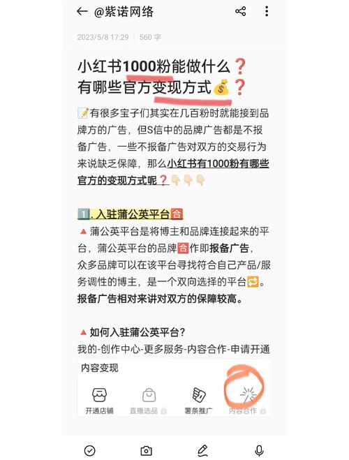 小红书涨粉变现难_秋叶小红书训练营_小红书涨粉可以赚钱吗